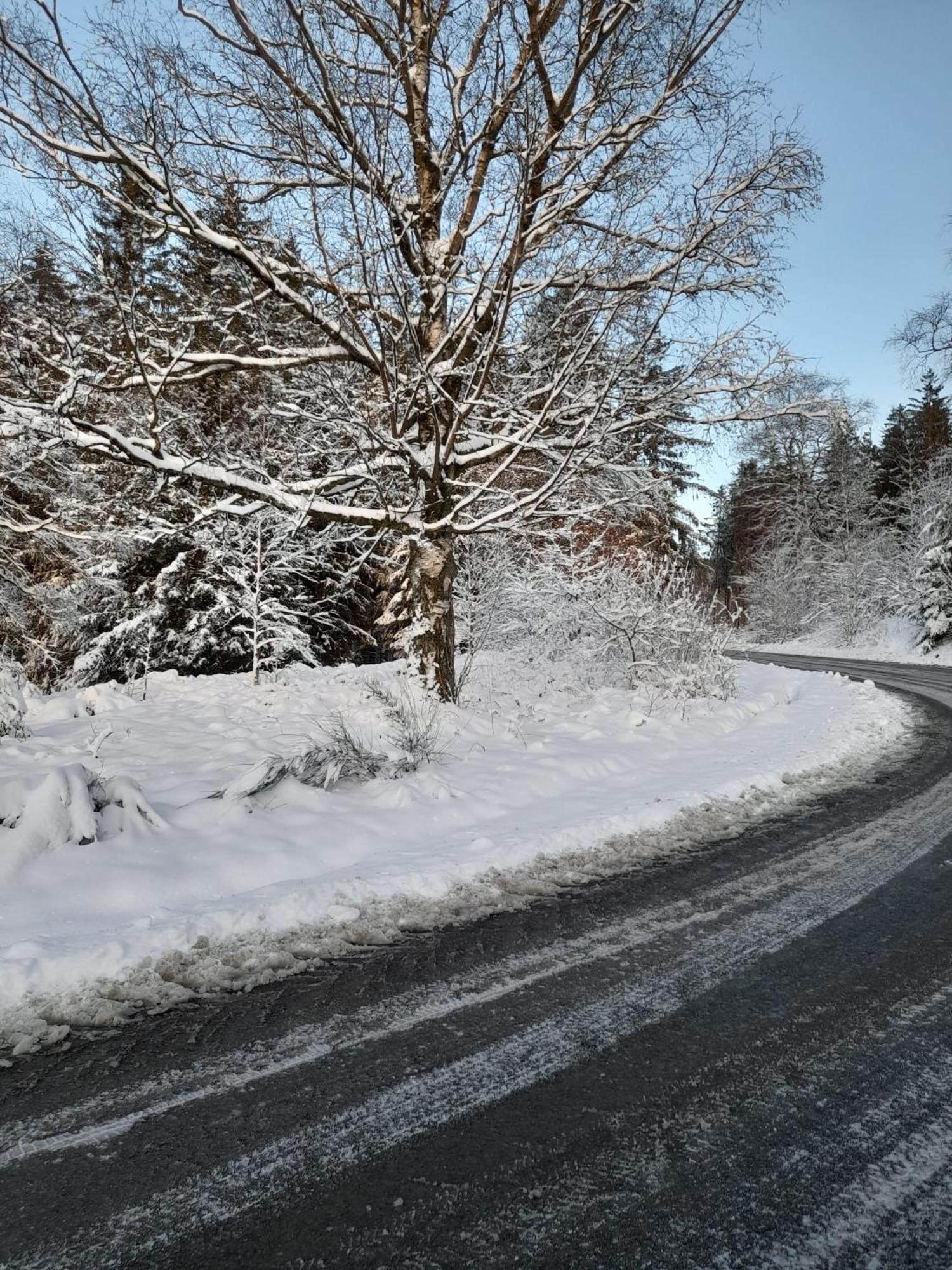 Haus Konthe, Appartement Winterberg Luaran gambar